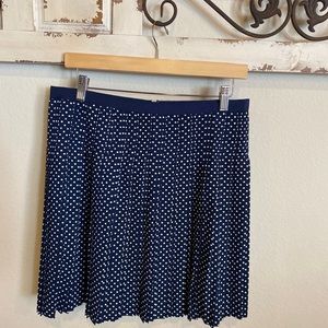 Darling JCrew polka dot navy skirt